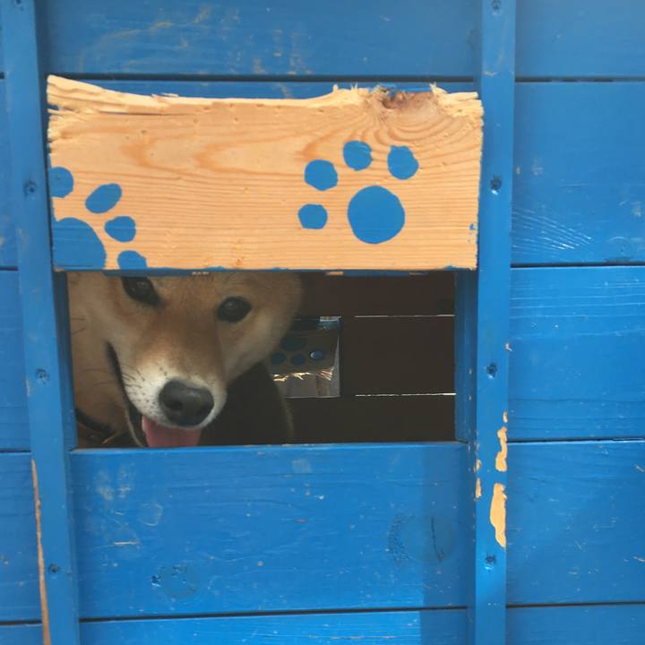 75446ba7 295e 4c11 85bd d212f4f91123