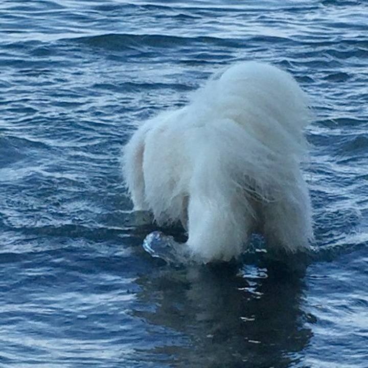 7544717d 5e8e 4a18 b8a8 c238f15ccd84