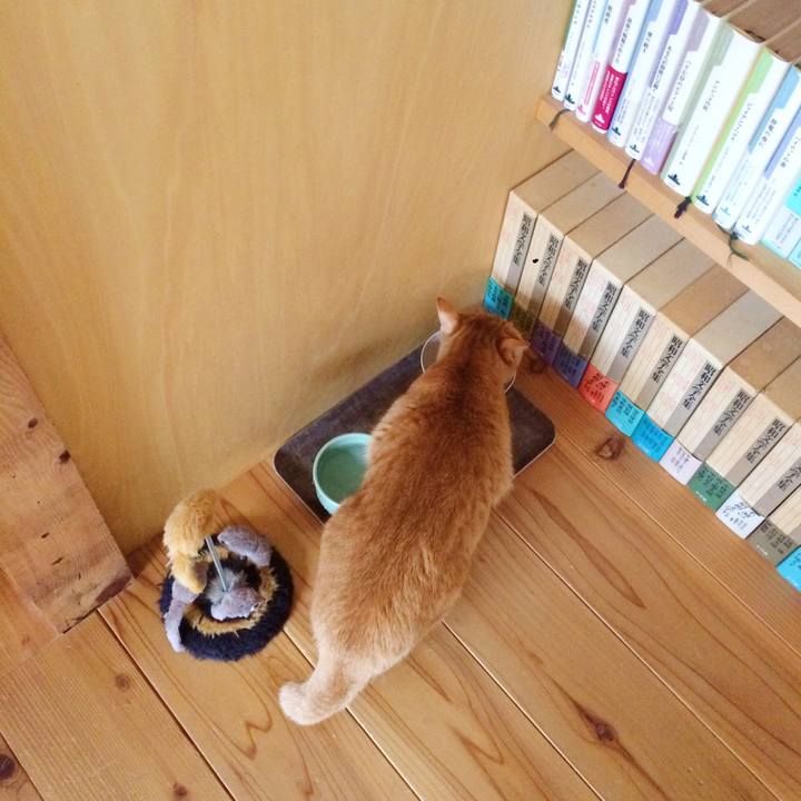 7544d871 70ad 4433 992d 67c21b730b77