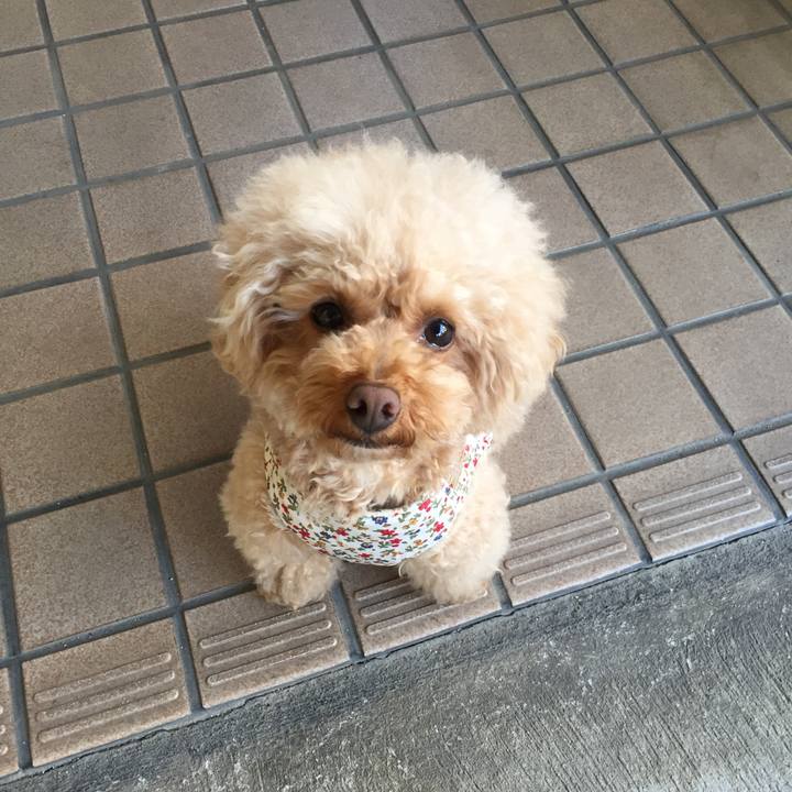 75456acd 805f 4d3e 91ca b484c013fd13