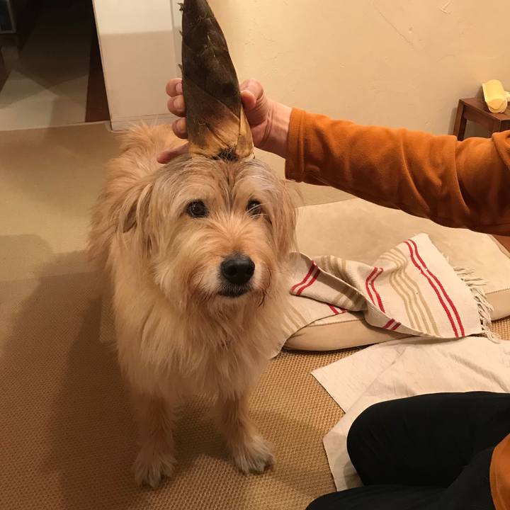 75456d05 560c 4cb8 8ff1 986fdef6d8e9