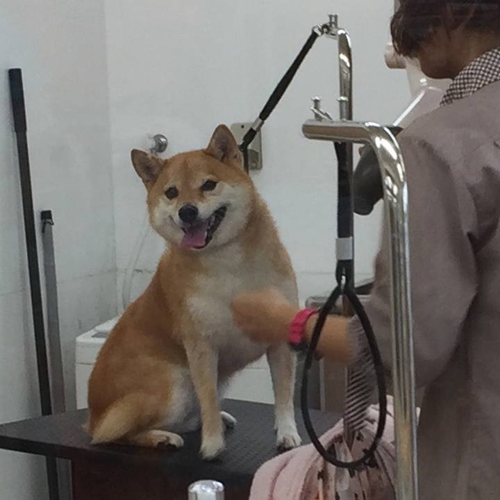 754577a3 a30d 4d47 8045 72b07181521e