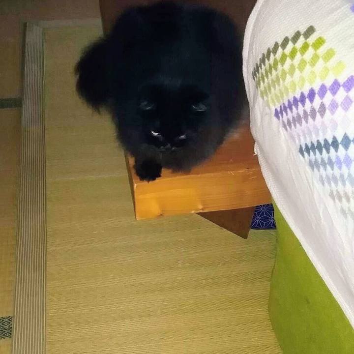 75460475 f45d 4765 8e9b 736a8c0eb566