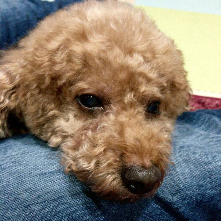 7546a9dd 4c0f 4720 94d3 d1948843f6b7