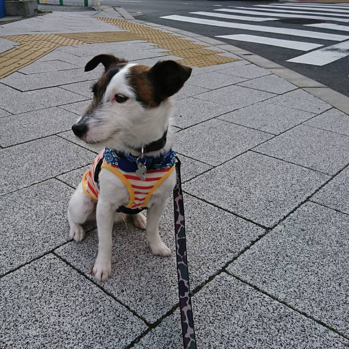 7546c2c0 9237 4416 a0d2 142980b1b1b3