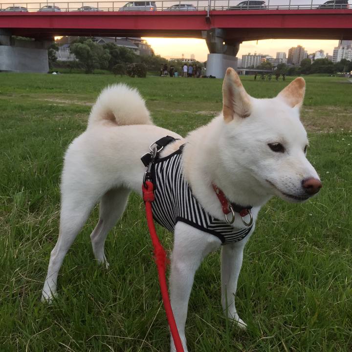 7546dcbd df3c 4a0f b9e5 8460910b743a