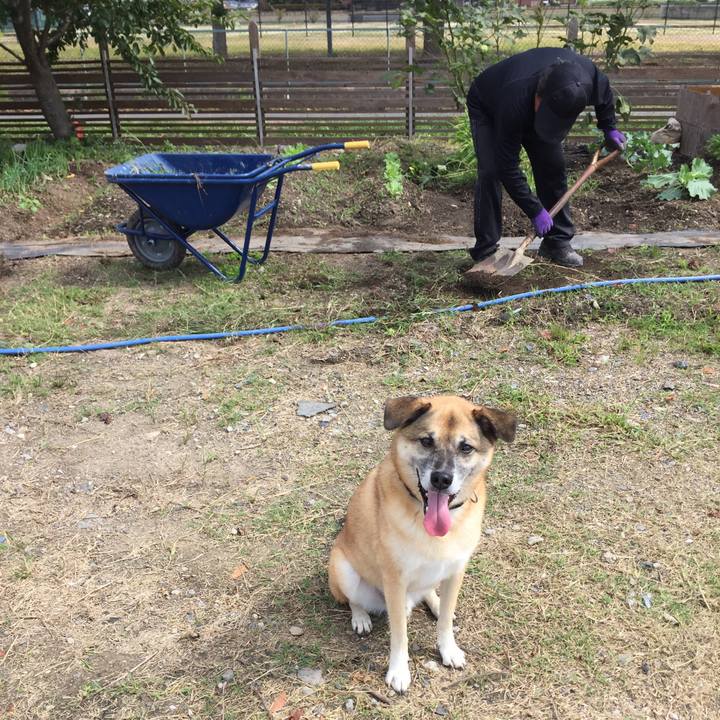 7546e41b 291d 4815 949a b2fd96dc9799