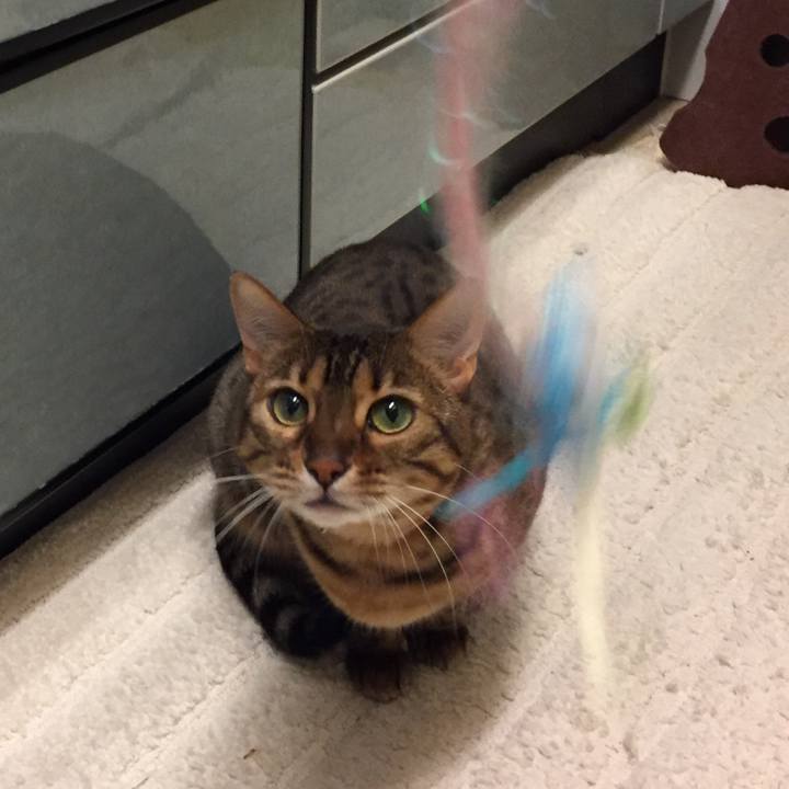 7547599b 7beb 44c7 a71b cf6cc15e92cd