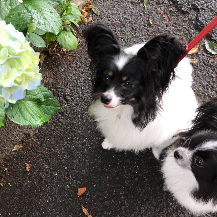 7547715b 8441 4251 81ab d520c5eafffd