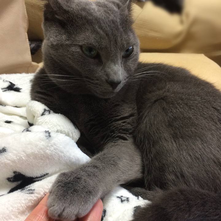 75479f39 6da2 42c5 b94c ec8fea3b2dcc