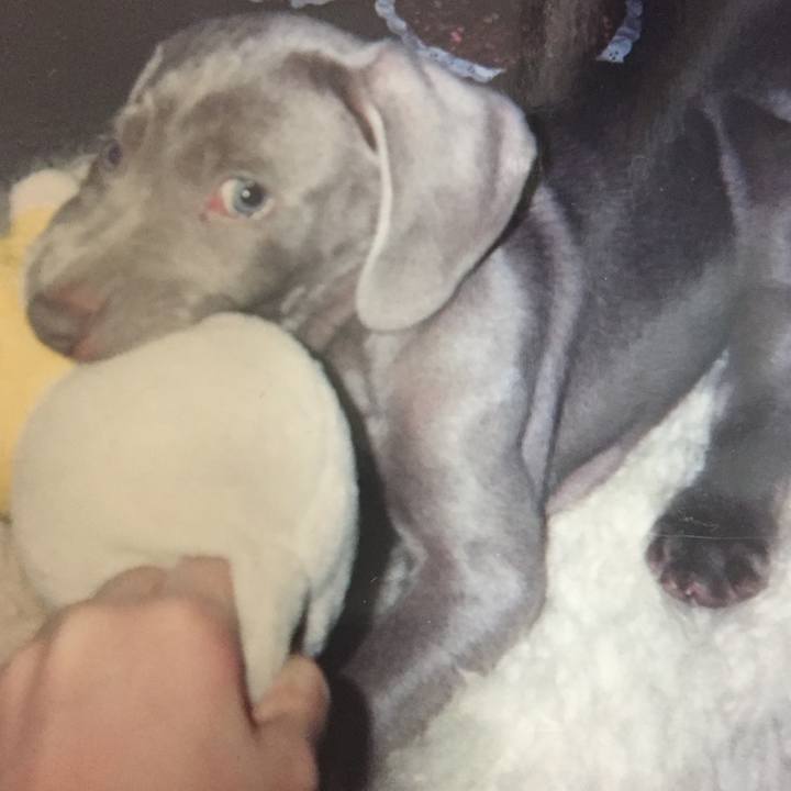 75489125 1b2d 4aff 95f4 b69c9cc09163