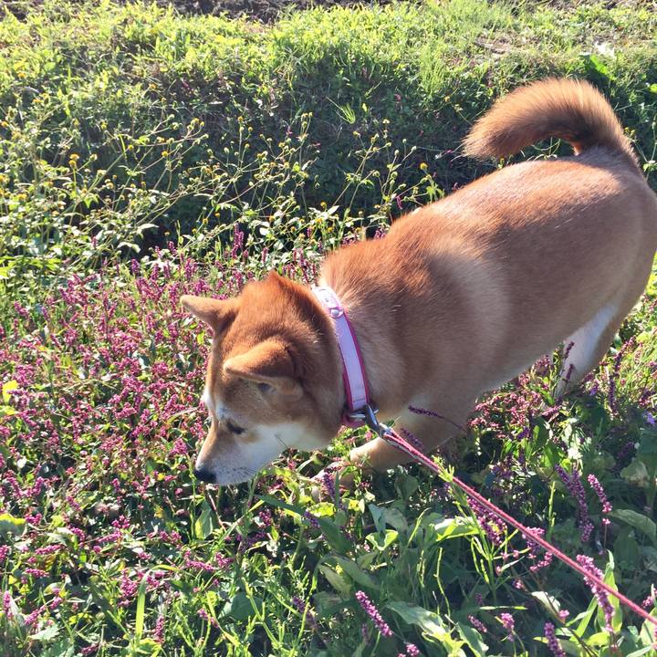 7548a33c ff5d 4f28 a0e0 877c06257c01