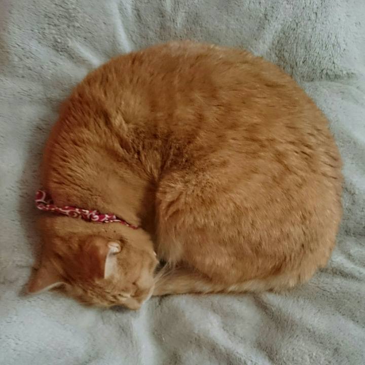 7548a7cd abb3 4731 99e4 09e5976533e0