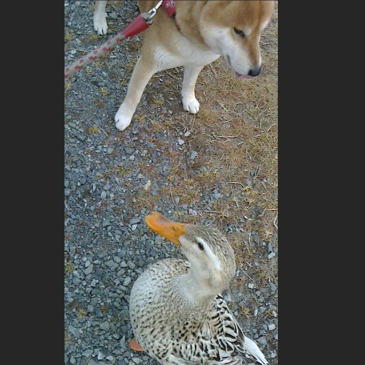 75491572 3072 4091 8f9a c8fa10ed9167