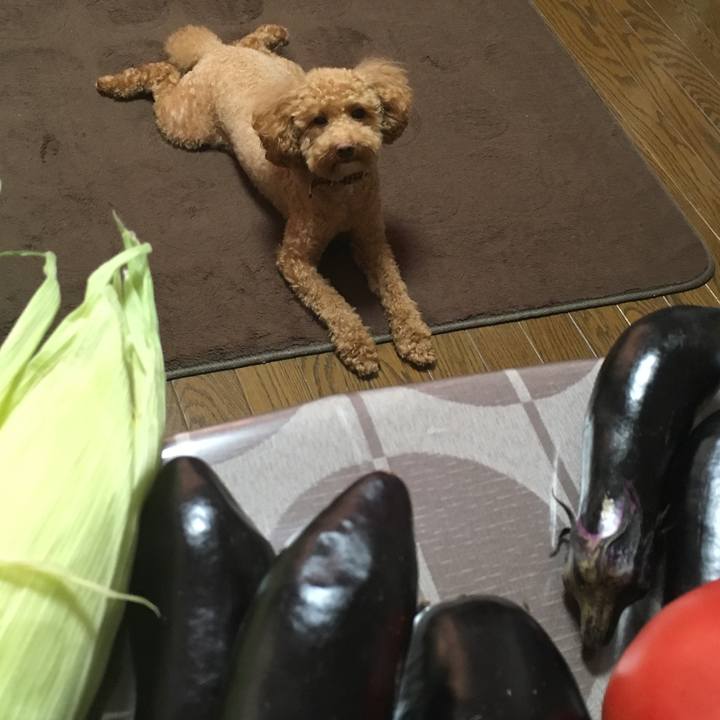 75491a66 17c5 42be a5d1 a30798470734