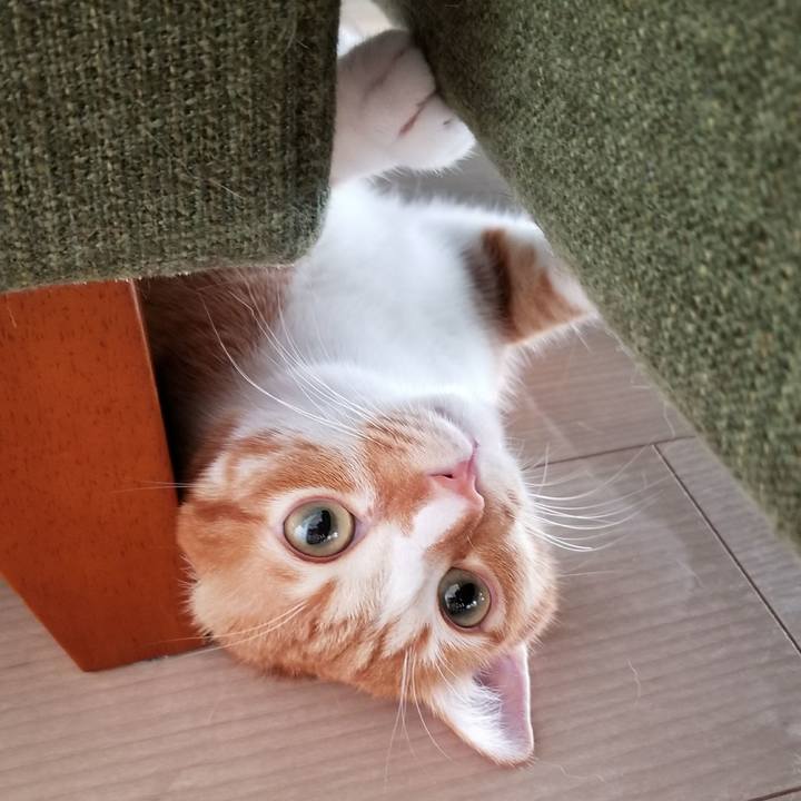 7549506a f421 4ff4 9fdc e4c2b509d674