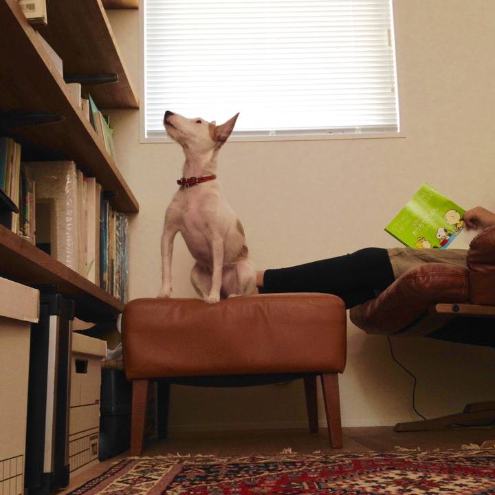 754972fc 5e08 44b3 86b7 5455634740ab