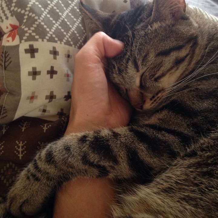 75499353 a428 4c65 a530 d60074c24e39