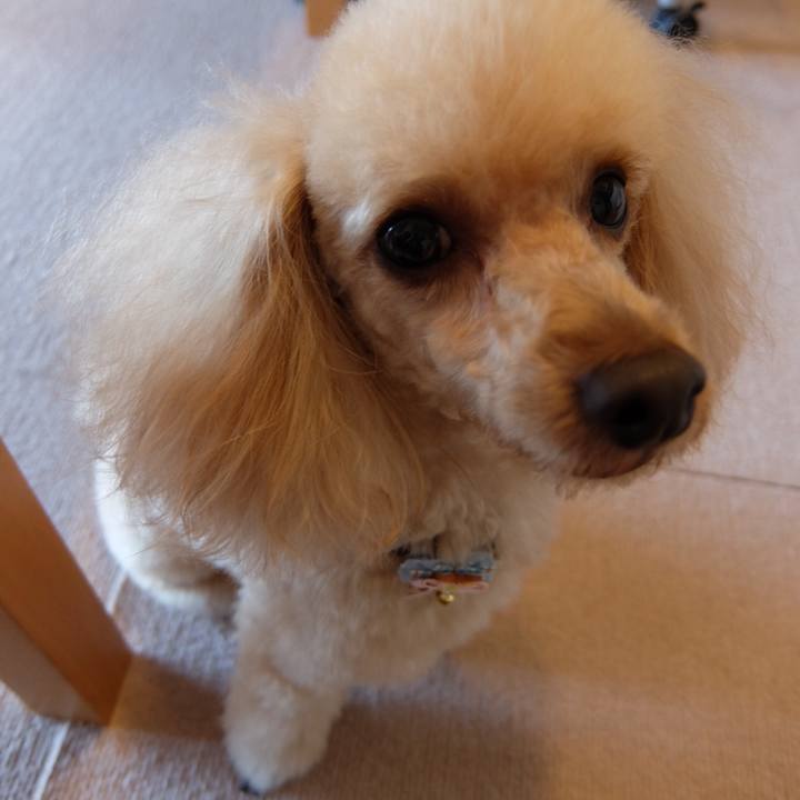 754a16fc 3e63 4899 97e6 0f8c550ea9ce