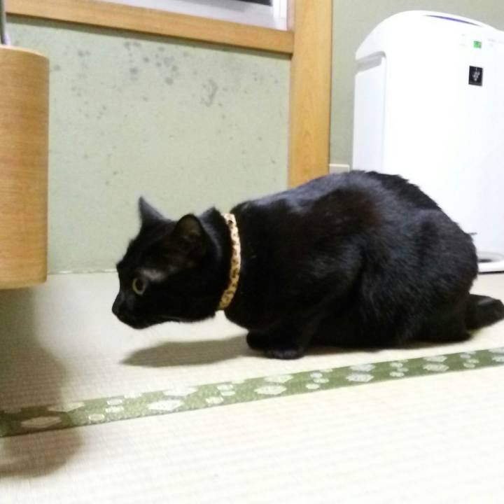 754ab0a5 4263 4dbe 8573 45bd1e79e182