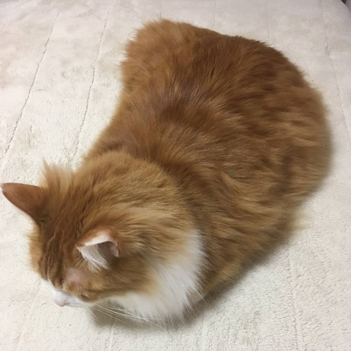 754b082d 94cd 42bb 9bef 6bb4bf288559