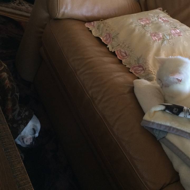 754b0c72 936f 448d 9012 eea7e45a7383