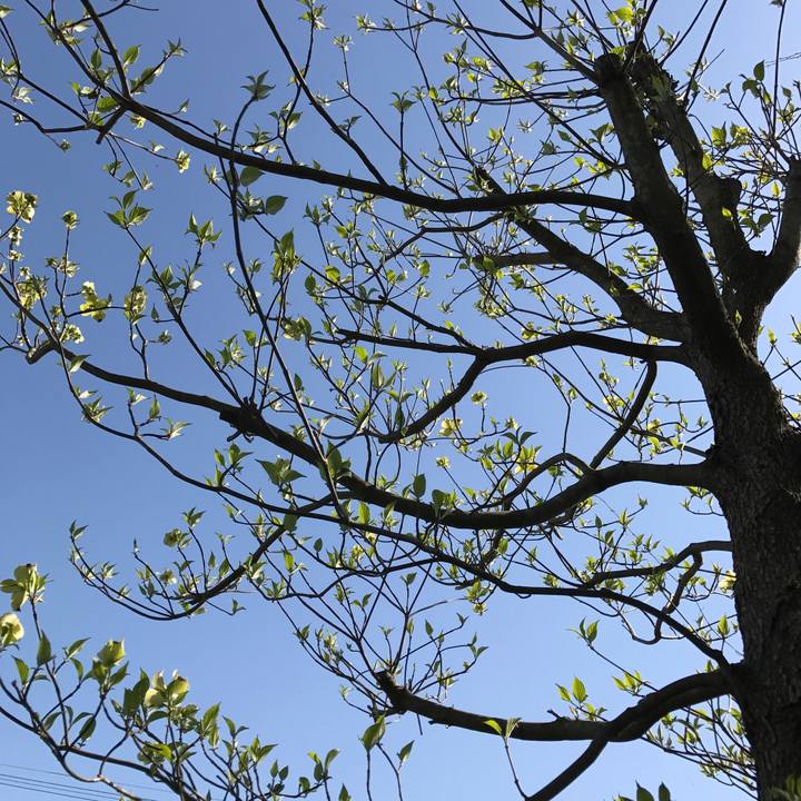 754b0c73 416a 4a0b b2a4 df4ca17eb862