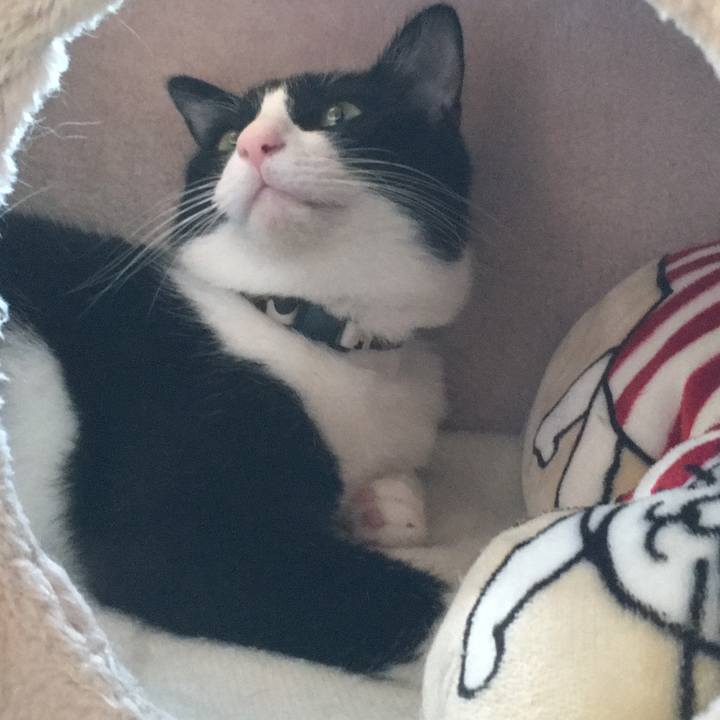 754c240d f807 4c59 9d66 eac66977e584