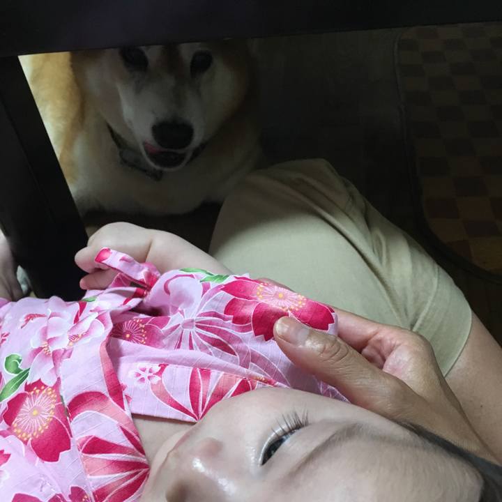 754c5029 6014 4bcf a5ba b1c80bf6a19c