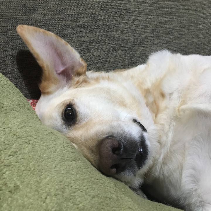 754ca48f 2560 4ed4 a1e5 fe5b649a1e73