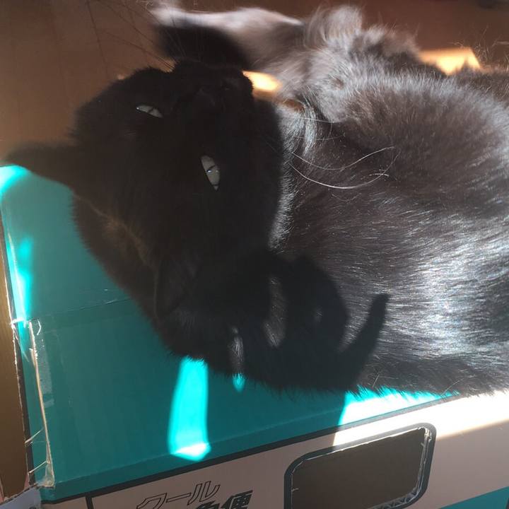 754d0b42 25a7 4754 aa63 644d4405cd2e