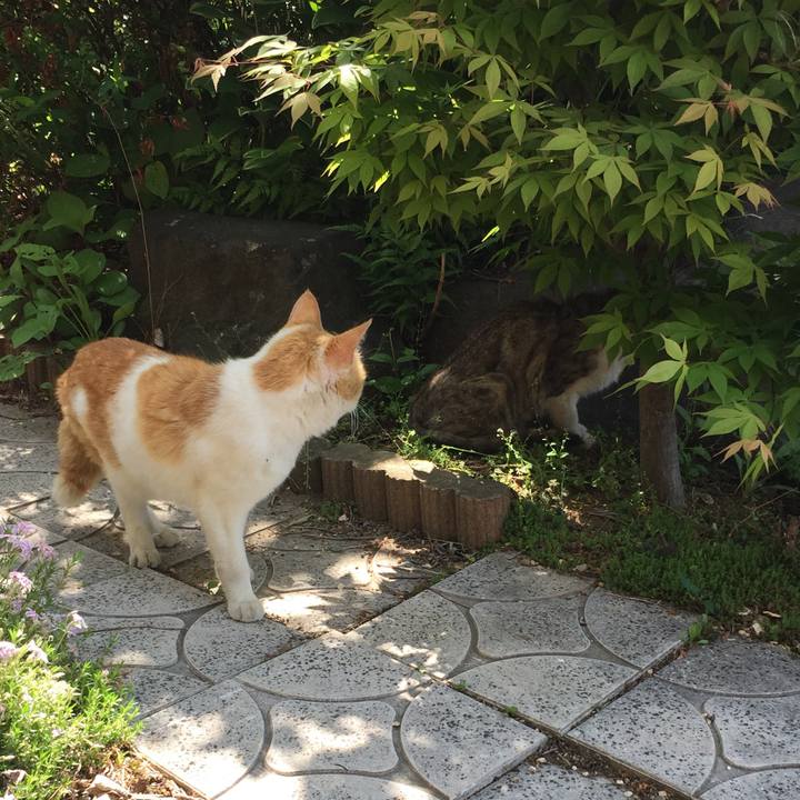 754de350 905c 4566 a1ba 3a4ca8fa6a8a