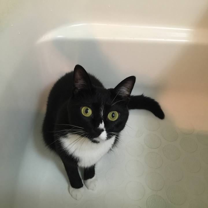 754f97a3 726c 4f69 b2b4 5eb72c1338ef