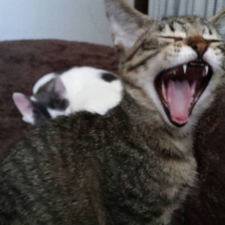 7550944e e767 4ee0 9ba7 d360bd83eeeb