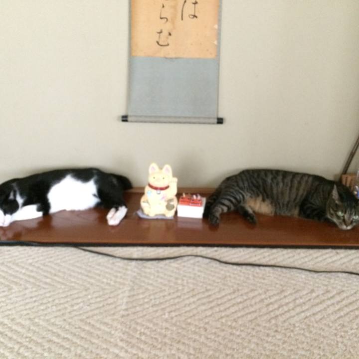 7550eacf 81e1 47df 82da b7c001b468b0