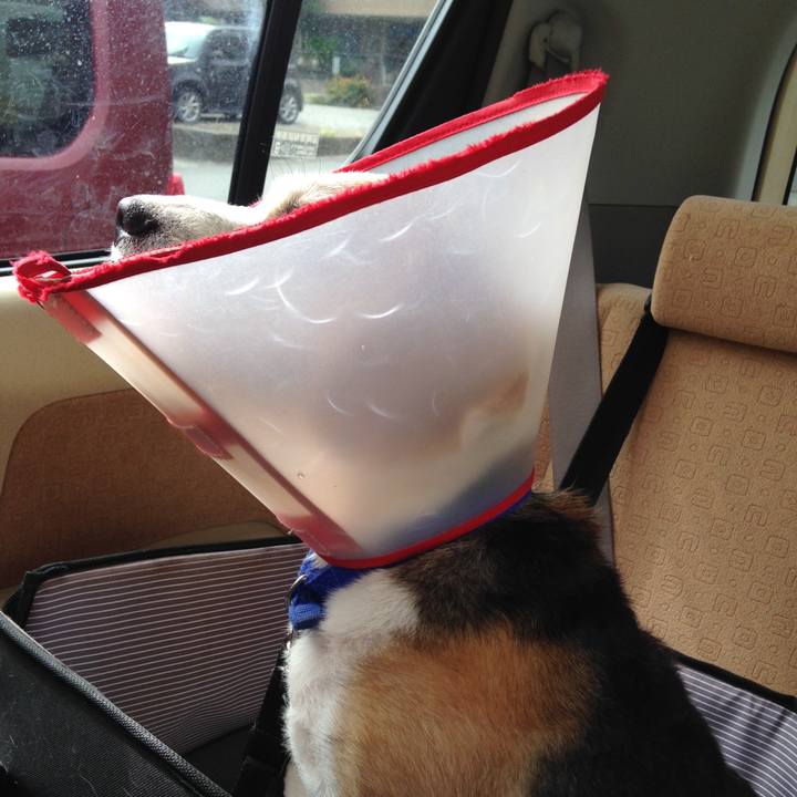 7550eb31 dd82 417c a02a f50253e556c5