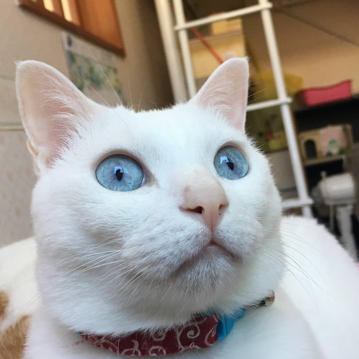 75510fe1 bfab 4df3 b13a 23e85cf468a2