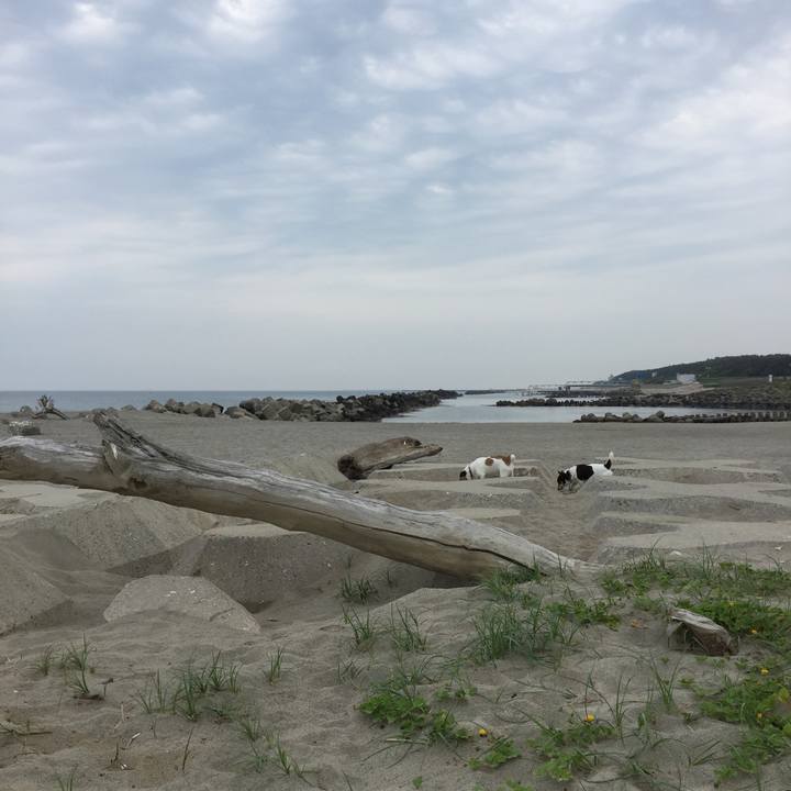 75511a5e b56f 49ec b3c8 59b3e2c0ffa0