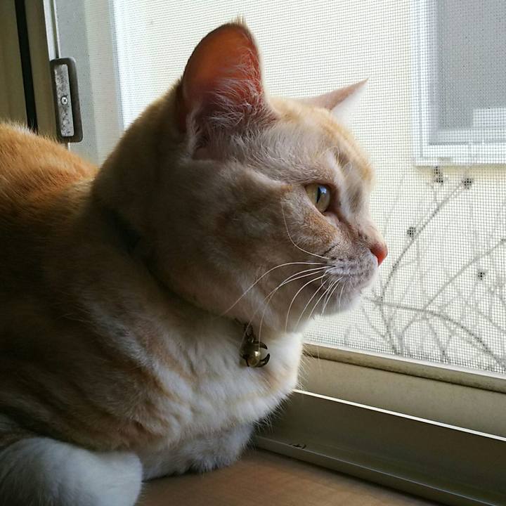 75513f69 15a0 4e27 b3c9 a83101ce8fa8