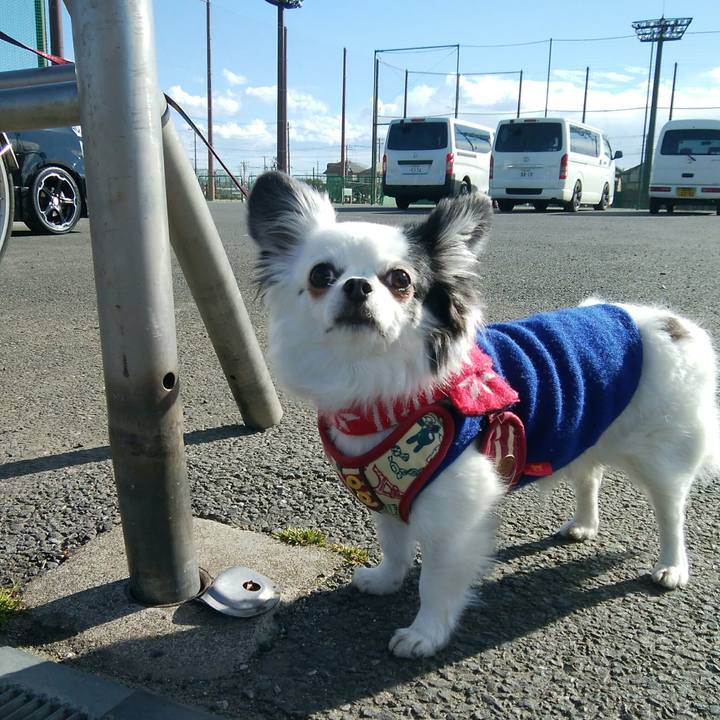 755147e7 aa33 45fc 8d05 1ce141fe0aa5