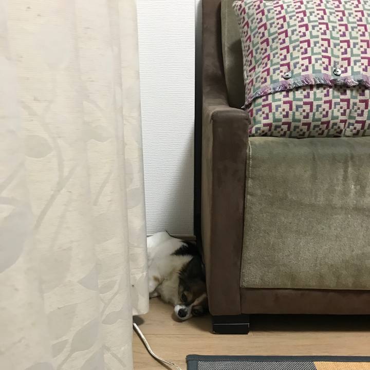 7551c662 11ac 4e59 9a52 3bb63fe72a23