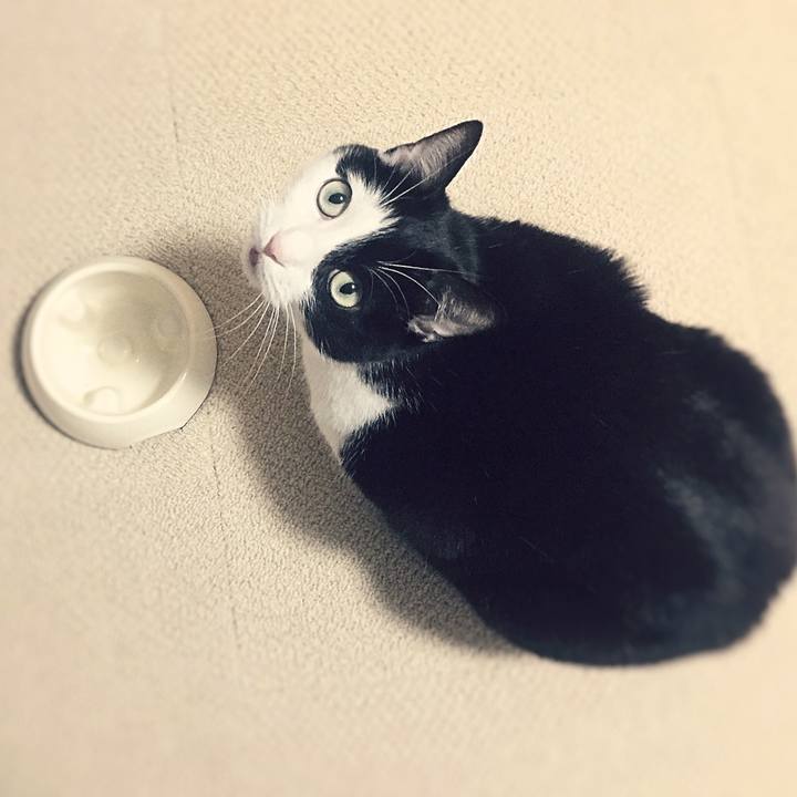 755262b4 9434 487f 896f 1dce67084587