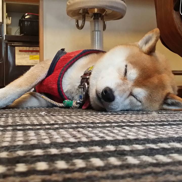 7552b860 f438 4ffa 87d0 766095988e56