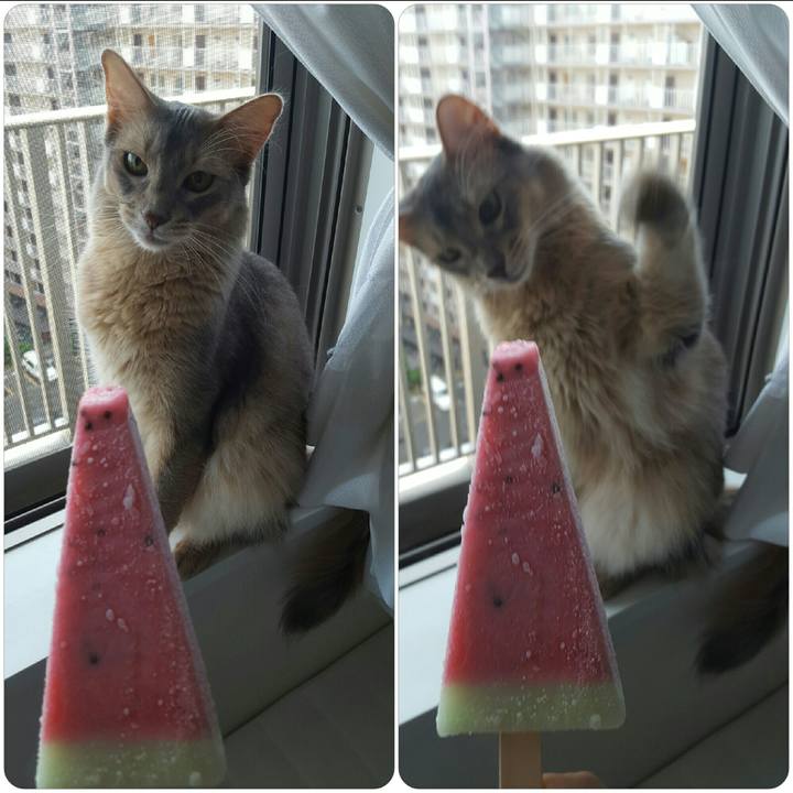 7552d4ad 4921 4717 9b97 9d900cf9b759