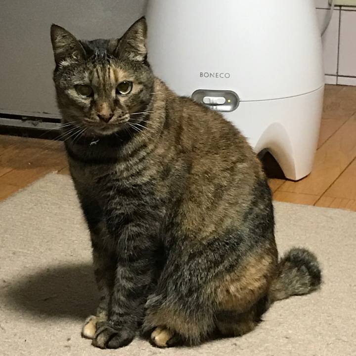 7552ec2c 5c50 4fb0 aa99 2c1d08541cac