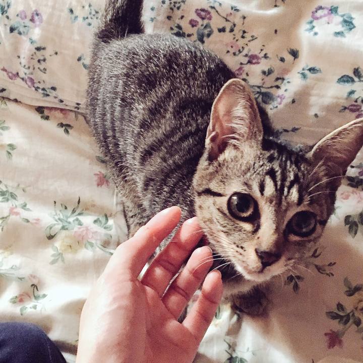 75531f28 10f2 4f7f afd1 8c16946961c8