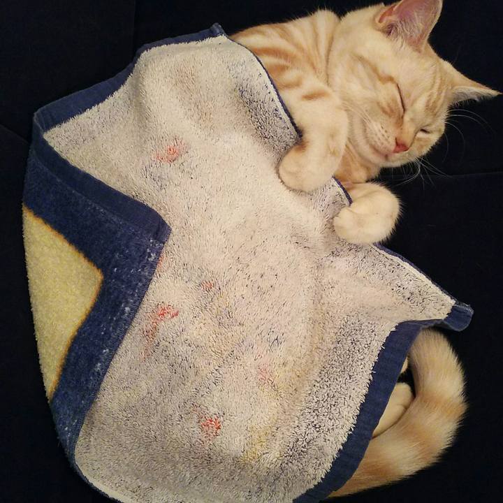 7553c260 b397 432a ae85 456cd573fba1