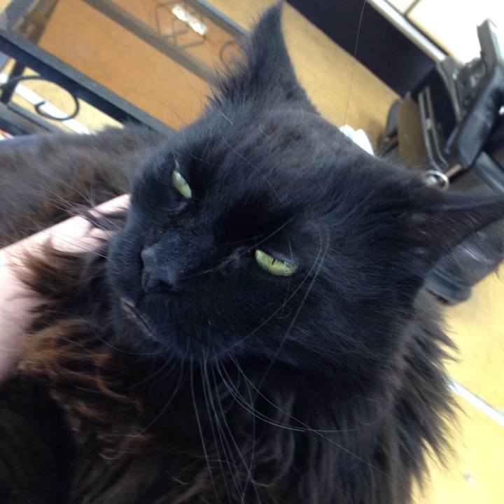 7554a0e2 f7ab 45a3 841e 70a9e2d81299