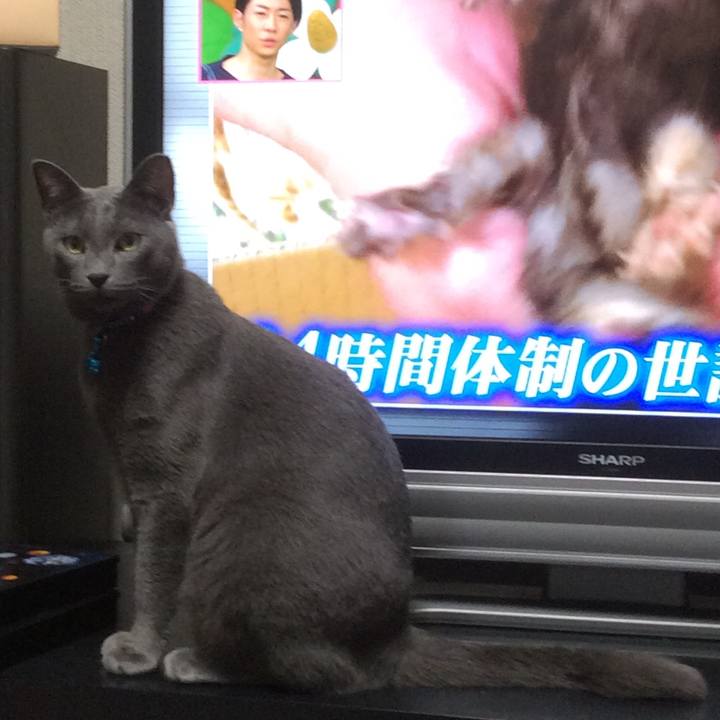 75556456 d88e 4516 b1d8 67cbd12c0dd1