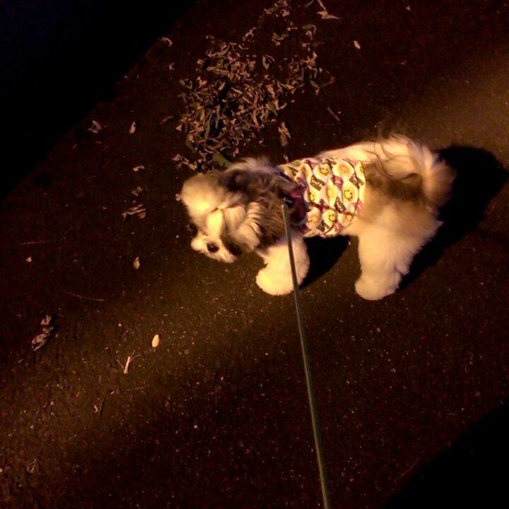 755577bc f38c 4b13 afcc 64e28b7e4735